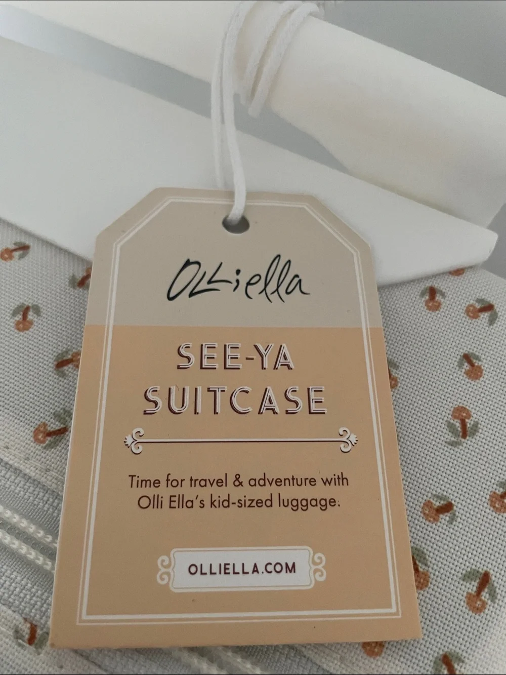 Cream Patterned Small Travel Case with Coral Accents